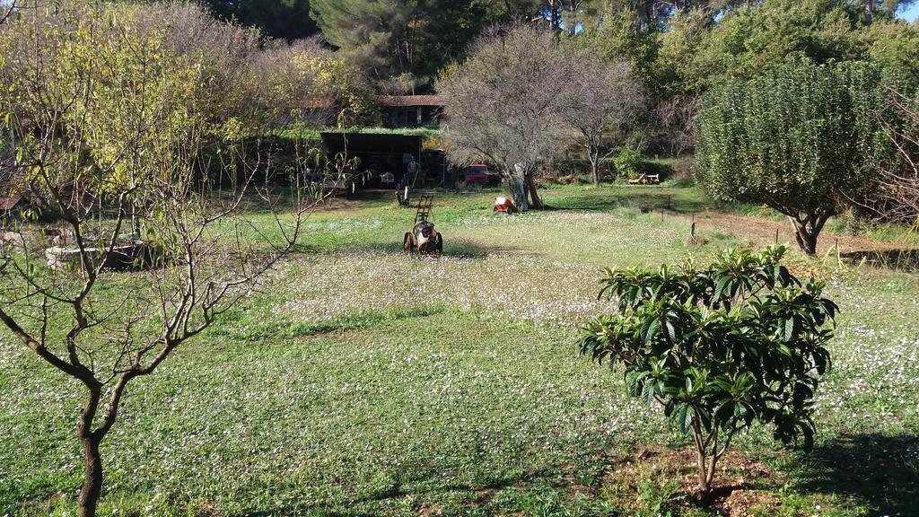 Le Mas Du Pin Vert Aubagne Exteriér fotografie